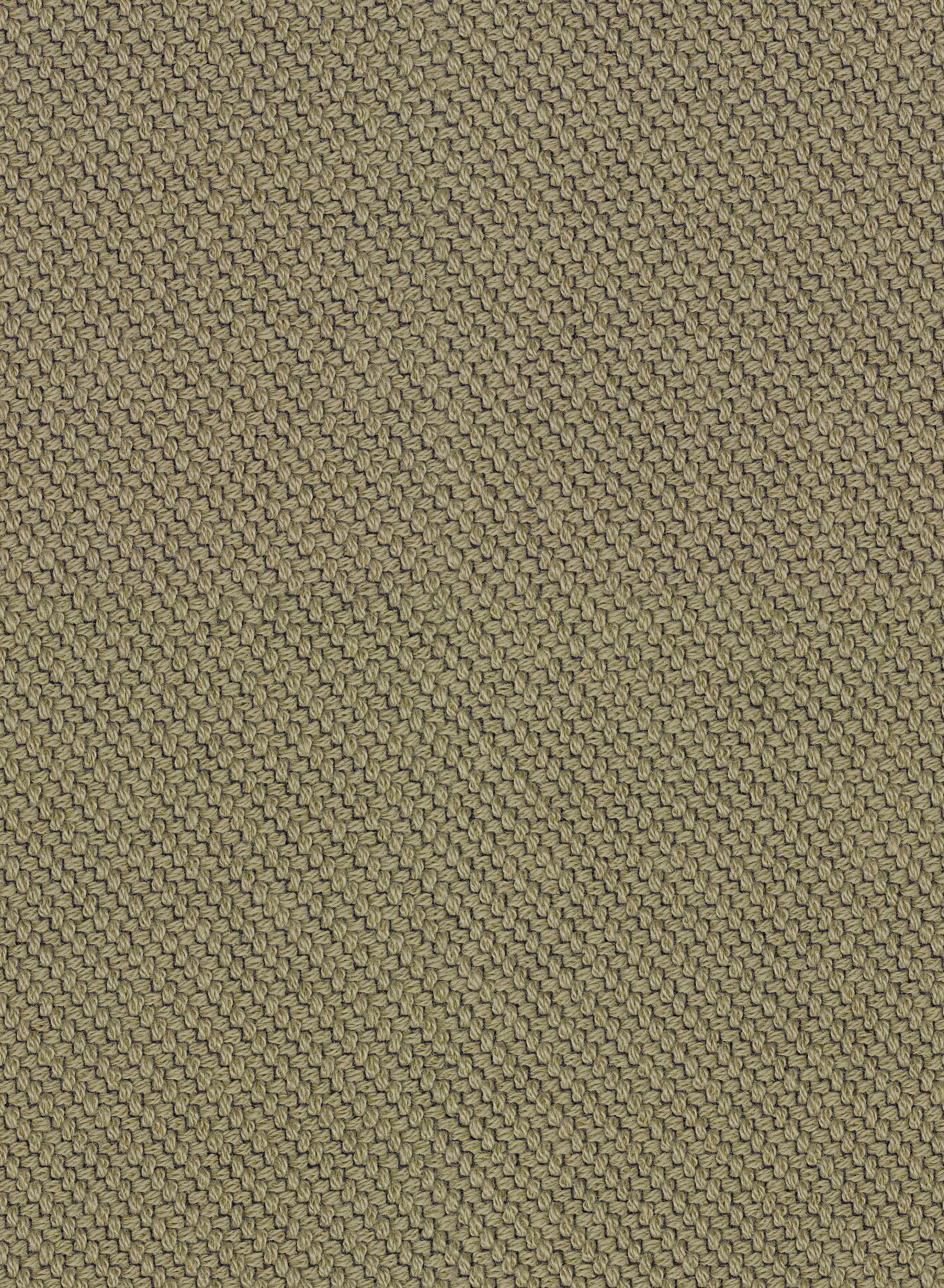 Coda 2