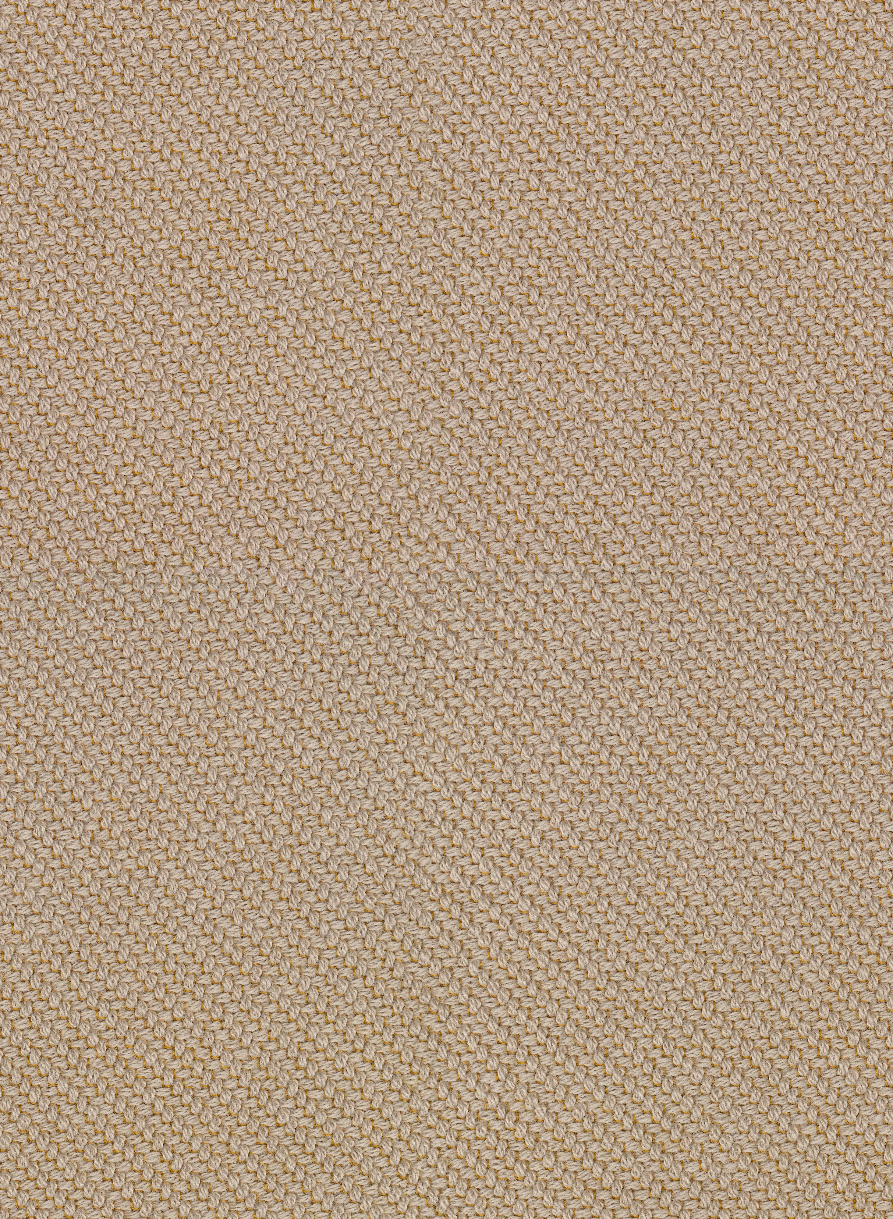 Coda 2