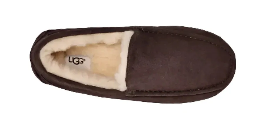 MEN'S UGG ASCOT SLIPPER | ESPRESSO