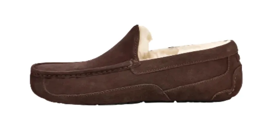 MEN'S UGG ASCOT SLIPPER | ESPRESSO