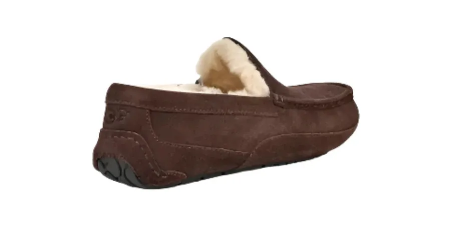 MEN'S UGG ASCOT SLIPPER | ESPRESSO
